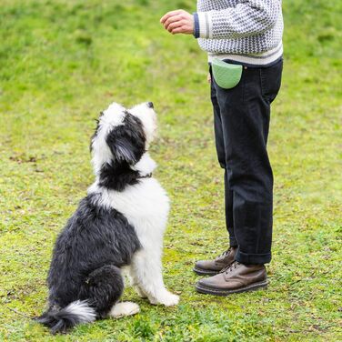 Набір силіконових мішечків для корму Navaris для собак (2 шт.) - мішечки для ласощів з кліпсою та магнітом - сумка для корму, сухого та вологого корму (сірий & темно-синій, зелений/сірий)