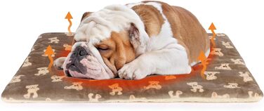 М'який лежак для собак у переносці 80x60 см, лежанка для собак у клітці, ковдра для домашніх тварин, підходить для середніх собак та котів (чистий сірий, плюшеві ведмедики)