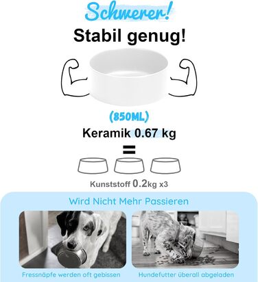 Керамічна миска для собак і котів SPUNKYJUNKY з бамбуковою підставкою, 850 мл, біла, набір
