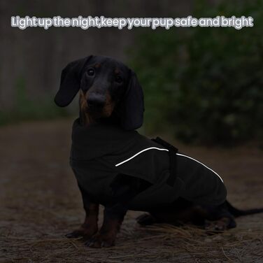 Теплий зимовий одяг для такси (M), Куртка для собак з високим коміром та світловідбиваючими смугами, Сірий (M)