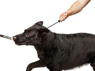 Нашийник для собак Dingo Gear, ручної роботи, міцний шнур, 2 обмежувачі, водонепроникний, для K9-тренувань, IGP, агітація, кусання, слухняність, чорний, L (S04049)