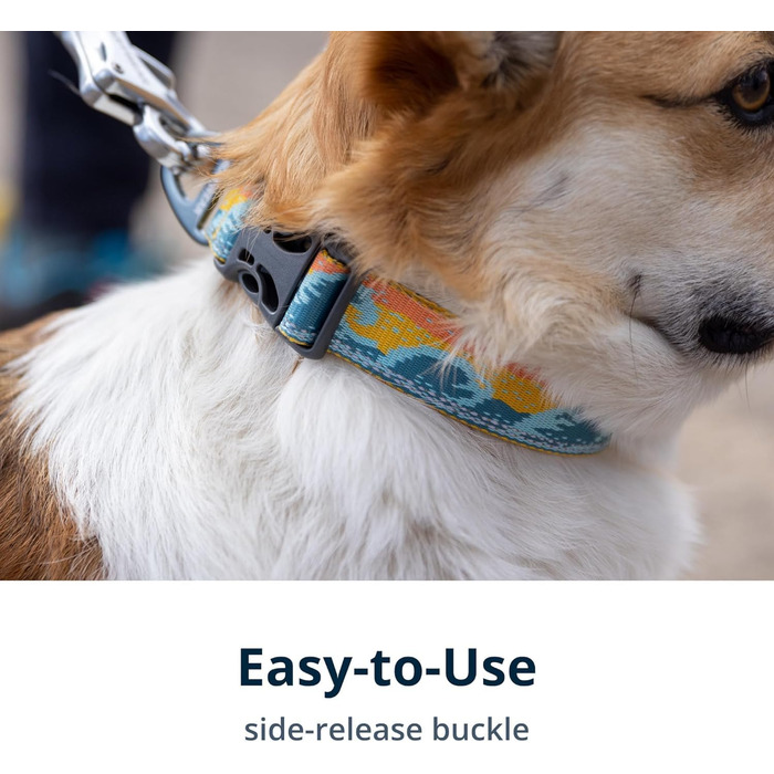 Нашийник для собак Ruffwear Crag, середній, 36-51 см, з алюмінієвим кільцем V, регульований, м'який, преміум-якість, для повідка