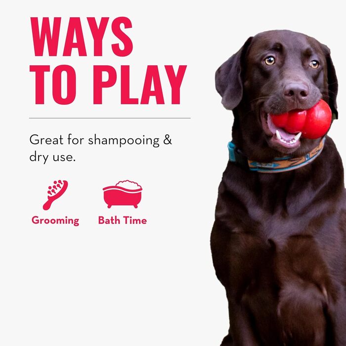 KONG ZoomGroom - щітка для грумінгу та миття собак, великі породи (червона)