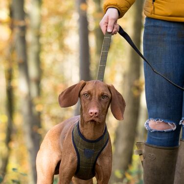 Повідок для собак HUGO & HUDSON, твідовий, тренувальний, темно-зелена клітинка, 1,2 м x 2,5 см