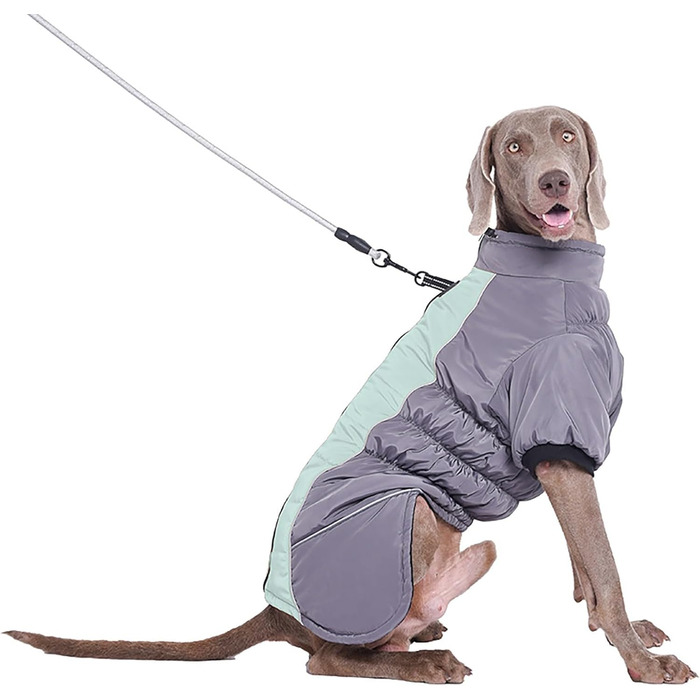 Зимові куртки для собак з натуральним хутром: теплі, відображають світло, для холодної погоди (XS, C)