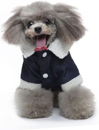 Теплий зимовий костюм для цуценят Abaoadam: зручний халат для прогулянок та ігор на вулиці