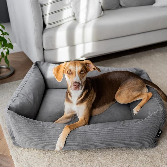 4L Textil Boho Hundebett: Корінь для собак з корду, великі породи, 100x80 см, сірий, м'яке собаче ліжко, Boho стиль