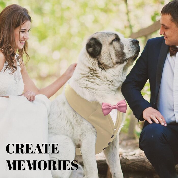 Smoking для собак: стильний костюм для собак середніх та великих порід XL. Костюм для свят, вечірок, косплею, Хелловіну, весілля. Бежевий smoking з рожевою краваткою.