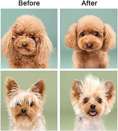 Набір професійних ножиць для грумінгу тварин 7.0 дюймів (5 предметів)