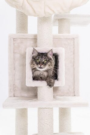 Когтеточка для котів Petrebels Cleopatra 134 см, преміум, XL лежанка, котяча будка, стовпи Ø9 см, бежевий/кремовий