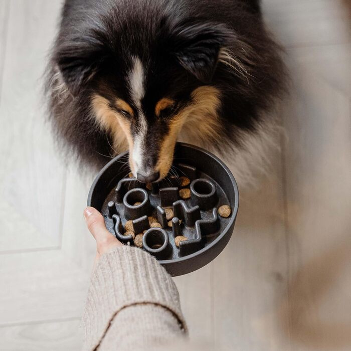 Місцевий район 70 - Повільний годівник для собак з бамбука - діаметр 28 см, висота 17 см (темно-сірий)