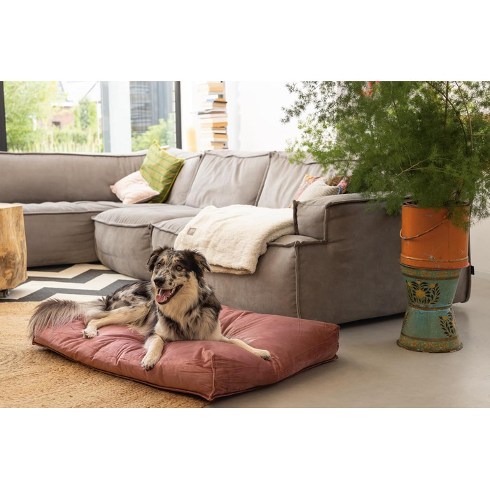 Подушка для собак Lotte Nalino, велюр, сіра (рожева), 100x70x15 см