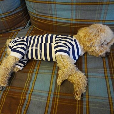 Захисний боді для собак після операції, боді для собак після кастрації/стерилізації, захисний одяг для собак з відкритими лапами, з отвором для рани, з нейлоновою застібкою, для собак з алергією, лисістю, післяопераційний одяг, блакитно-білий в смужку (S)