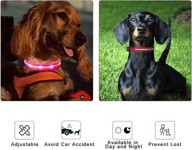 Світлодіодне нашийник для собак Masbrill, світловідбиваючий, водонепроникний, регульований, з 3 світлодіодами, для малих, середніх та великих собак, червоний, L