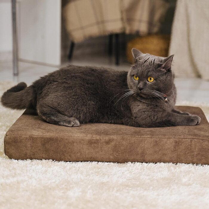Подушка для домашніх тварин LAUBLUST, 54x37x7 см, коричнева. Аксесуари для собак, подушка для котів, лежанка для собак, подушка для кошика для собак.