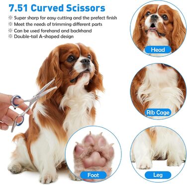 Ножиці для грумінгу собак та котів, професійні ножиці для догляду за шерстю, нержавіюча сталь
