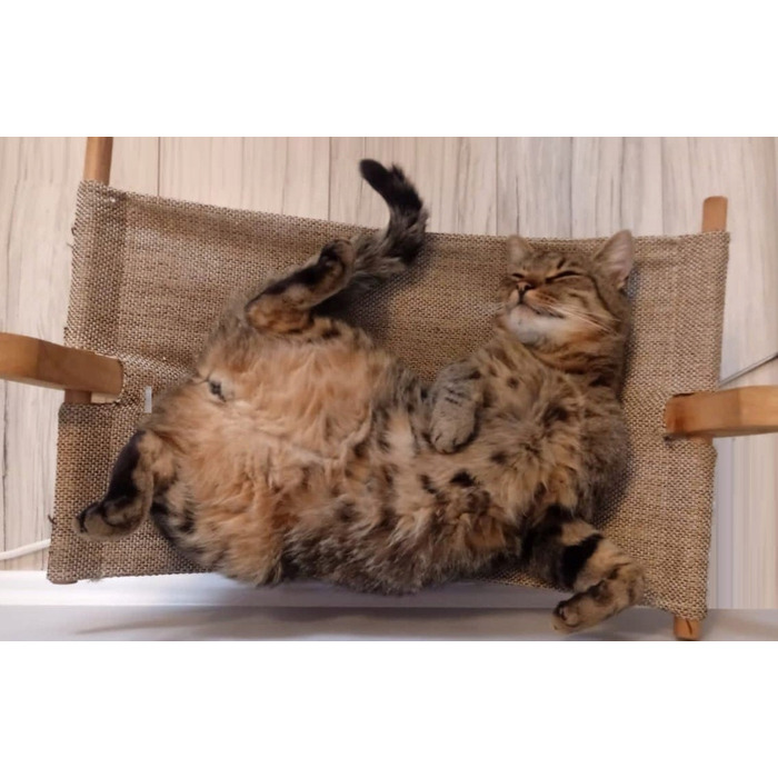 Гамак-ліжечко для котів Kerbl Siesta 2.0 Eco Wood, бежевий, 61x37x29 см
