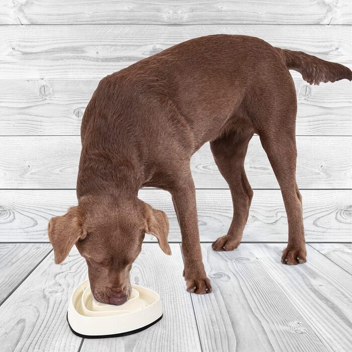 Миска для собак Edupet 06027AA, Anti-Schling Napf, Slow Feeder, 300 мл, 21 см, бежева