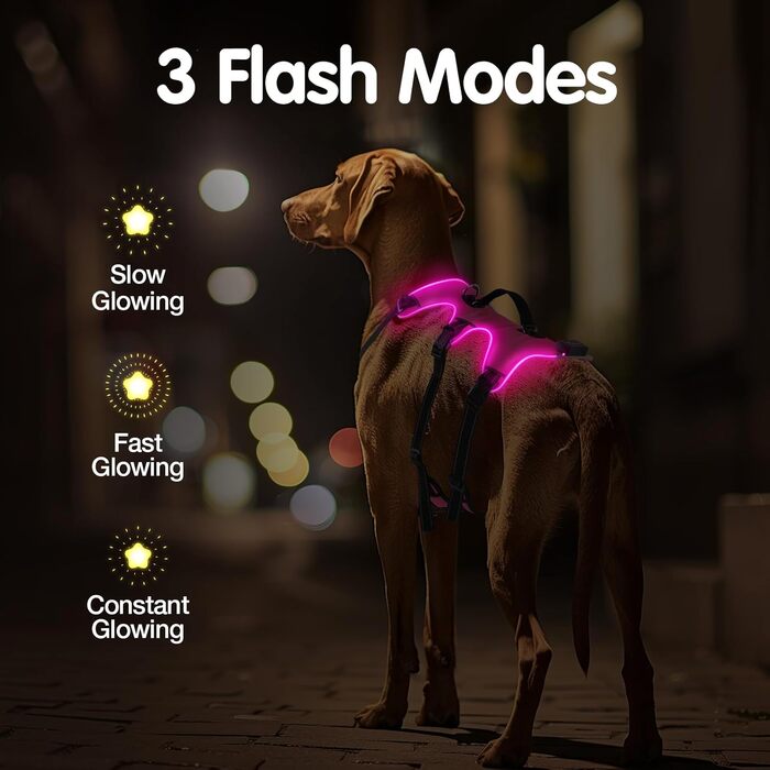 Світловідбиваючий нашийник для собак з LED, перезаряджуваний, зручний, водонепроникний, для середніх та великих собак, зелений (рожевий, M)