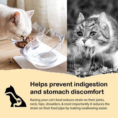 Антиблювотний ортопедичний котячий миска Leo's Paw, піднята на 15°, для корму і води, покращує травлення, знімна, нековзка підставка