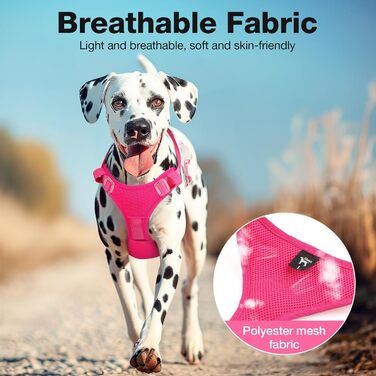 Світловідбиваючий нашийник для собак великих порід Feycig з LED підсвічуванням, акумуляторний, регульований, 3 режими світла, висока видимість (Рожевий, Medium)