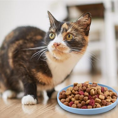 Набір мисок для котів (4 шт.), 18 см, силікон, для сухого та вологого корму (блакитний, жовтий, рожевий, сірий)