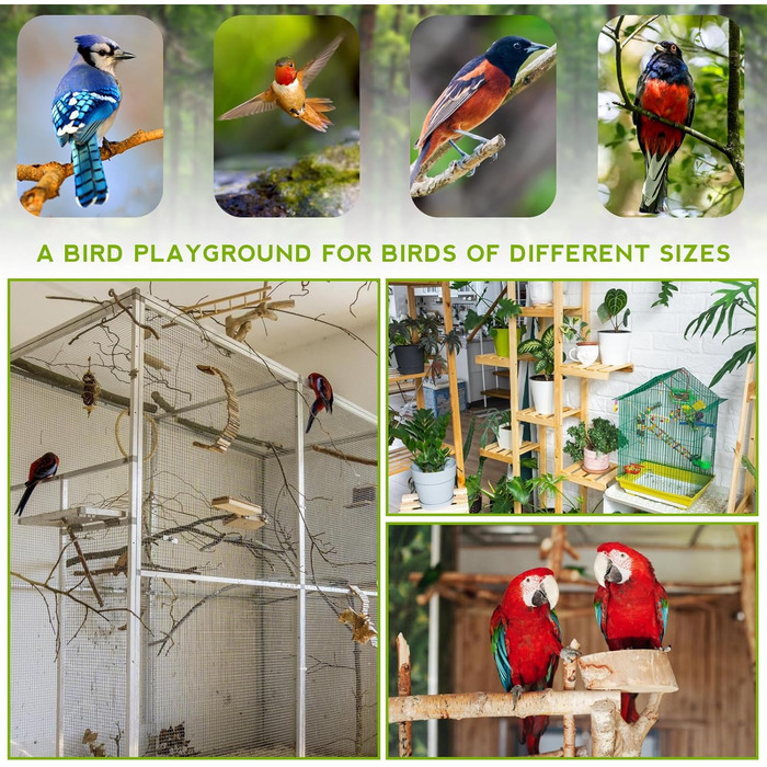 Ігровий майданчик для птахів з годівницями та підставкою, тренажер для папуг, колібрі, хвилястих поніків, ара