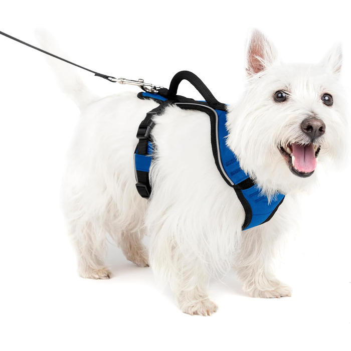 Нашийник для собак PetSafe EasySport, повністю з м'якою підкладкою, для собак 9-16,5 кг, розмір S, блакитний