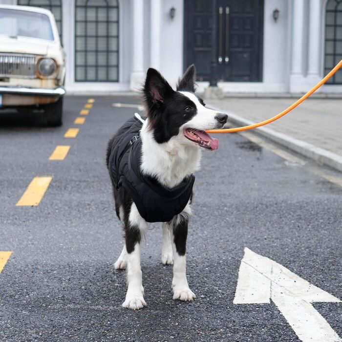 Тепла куртка для собак з повдком, флісова підкладка, зимовий одяг для цуценят, вітронепроникний жилет для маленьких собак, хакі, розмір M (Великий (Упаковка з 1), Чорний (Повдець))