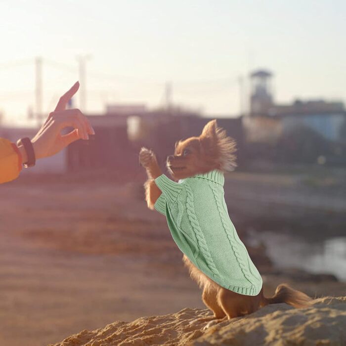 Теплий в'язаний пуловер для собак - тепла сорочка для джек-рассел, французький бульдог, чихуахуа, коргі, зелений, розмір S