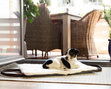 Sleepy Fox® Преміум-дорожнє ліжко для собак - портативний, складаний килимок для годування собак у ресторані з зручними плечовими ременями - красивий та практичний (Новинка! Зшитий стежкою, бежевий, K/M) K/M Новинка! Зшитий стежкою, бежевий