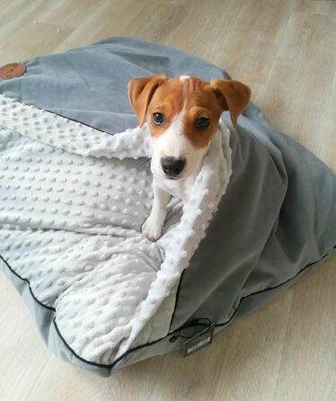 Крісло-ліжко для собак середніх та маленьких порід, м'яке ліжко для котів з капюшоном, неслизьке, пральне ліжко для домашніх тварин Lauren Design NEL (Сірий, M 80 x 60 см)