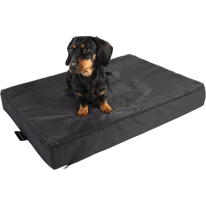 Ортопедична подушка для собак Преміум-якість з 8 см шаром піни, сіра, L. Матрац для собак з тканинним покриттям, придатний для прання при 40°C, гіпоалергенний. Підходить для собак середніх розмірів, 80 x 60 см (сердечник: 8 см, 60x40 см)