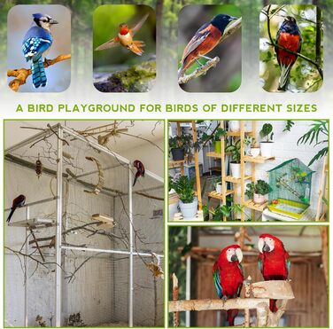 Ігровий майданчик для птахів з годівницями та підставкою, тренажер для папуг, колібрі, хвилястих поніків, ара