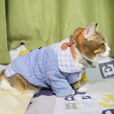 Теплий зимовий светр для собак та котів. М'який, зручний, з рукавами. Підходить для маленьких та середніх порід (Бічон). Колір: блакитний. Розмір XS