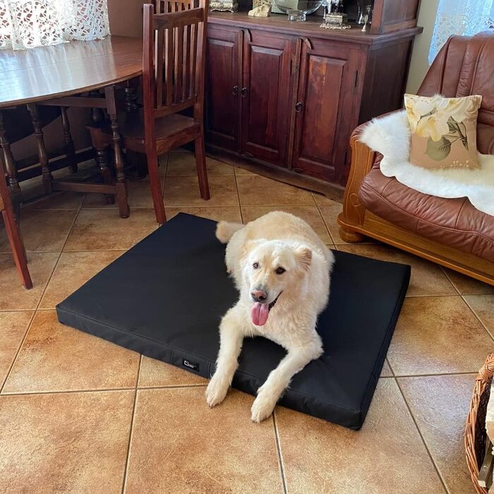 Килимок для собак Tina Grosse - лежанка для собак середнього та малого розміру. Зносостійкий килимок-лежанка з тканини Kodura, водонепроникний, м'який, довговічний. (XXL, 120x90x8 см, Чорний)