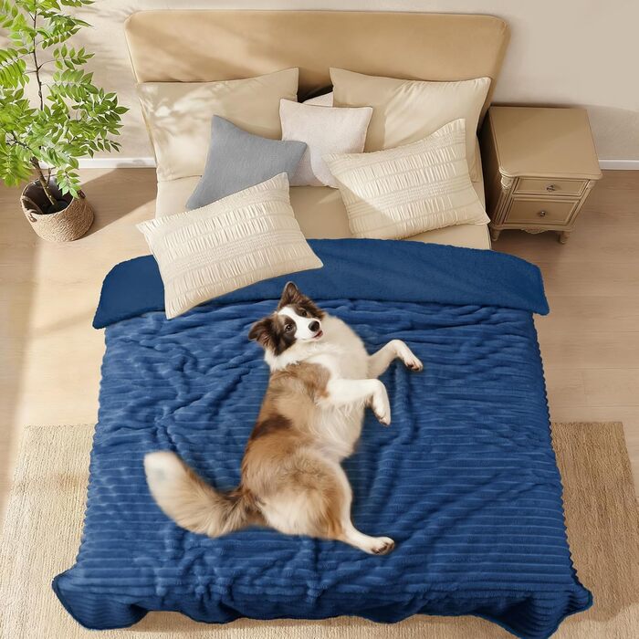 Водонепроникний плед для собак та котів Luciphia, 100x145 см (Морська синя)