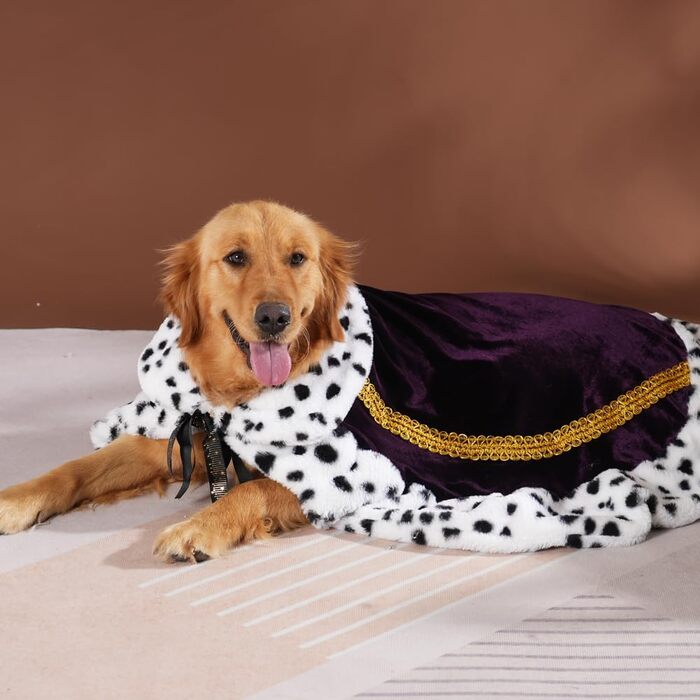 Розкішна шафа-будка для котів та собак Lovelyshop Pet Serial Lux, XL, фіолетовий/індиго, для косплею та костюмів на Хелловін (король, королева, принц, принцеса)