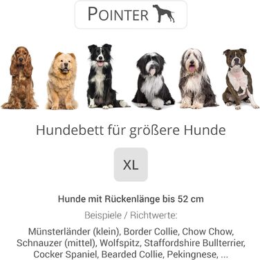 Ортопедичне ліжко для собак середніх порід - Pointer, XL (90x80 см), світло-сіре, Made in Germany