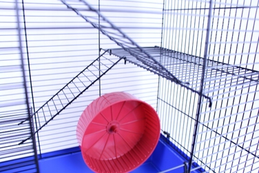 Клітка з піддоном для малих гризунів zoologiczniakpl, 69 x 48 x 31,5 см