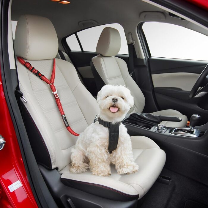 Автомобільний ремінь безпеки для собак 2-в-1, поводок та фіксатор, кріплення до підголівника, регульований, міцний, відбиваючий, 2 шт. (червоний)