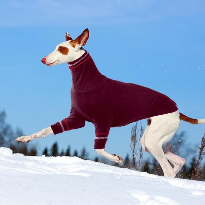 Теплий пуловер для грейхаунда, віппета та інших маленьких собак. Червоний, розмір L