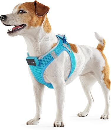 Світлодіодне нашийник для собак PcEoTllar: безпека та видимість у темряві (3 режими, S, блакитний)