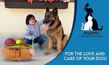 Schnüffelmatte для собак Jeypets з іграшкою-шнурком. Розвиває навички пошуку їжі. Чудовий подарунок на день народження вашого улюбленця.