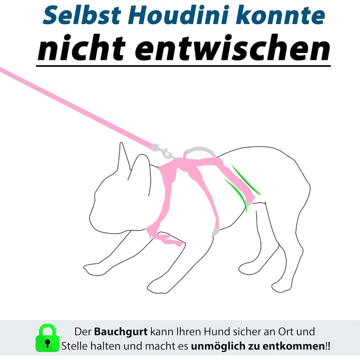 Нашийник для собак Wuffley з повідком, безпечний нашийник від вислизання, анти-тяговий нашийник з ручкою та світловідбиваючими елементами, легкий, регульований нашийник для середніх собак (рожевий, XS) Дуже маленький рожевий