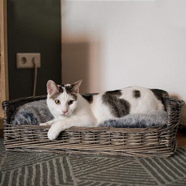 Ліжко-кошик для собак і котів UNUS з лози з подушкою, сірий, 61x44,5x15,5 см, для великих і малих тварин