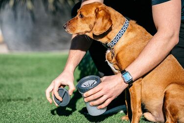 Dexas MudBuster: портативний очищувач лап для собак, розмір M, сірий, з кришкою