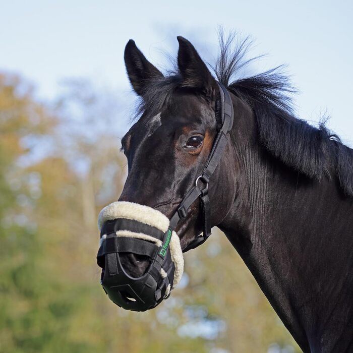 Корзина для коней Shires FreeGraze Airflow Weidemaulkorb, чорна, повна