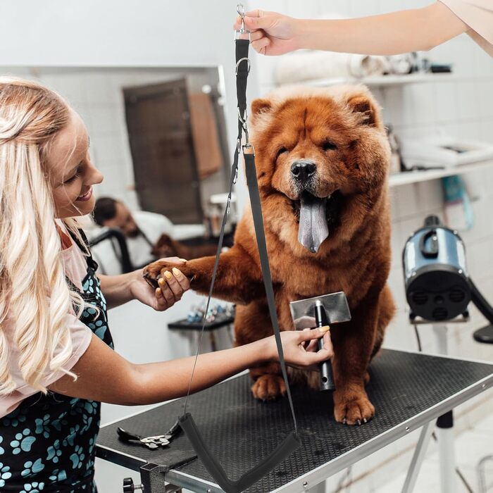 Регульований поводок та пояс для грумінгу собак Alasum для маленьких та середніх порід, безпечні ремені для миття та стрижки, ергономічна собача петля для контрольованого грумінгу