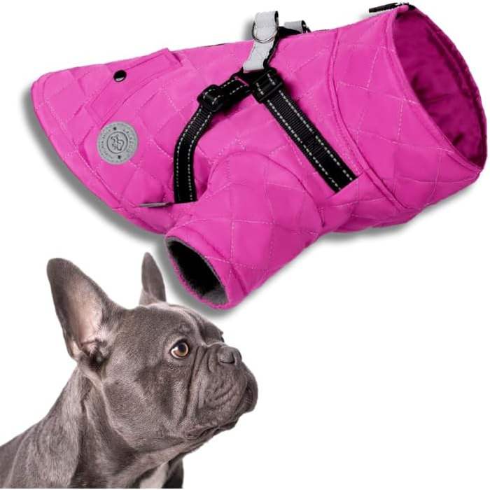 Зимова куртка для собак Lalzoo LUVI 2-в-1 з захистом від вітру та вологи – відображаюча куртка для маленьких та середніх собак, XL, рожева